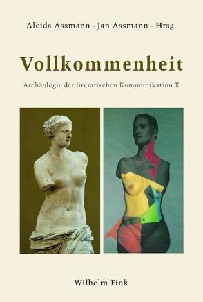 Vollkommenheit von Ammicht Quinn,  Regina, Assmann,  Aleida, Assmann,  David-Christopher, Assmann,  Jan, Bierl,  Anton, Biesterfeldt,  Hinrich, Kilcher,  Andreas B., Kraft,  Andreas, Krüger,  Oliver, Mulsow,  Martin, Sundermeier,  Theo, Vosskamp,  Wilhelm, Weinberg,  Manfred