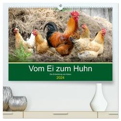 Vom Ei zum Huhn. Die Entwicklung von Küken (hochwertiger Premium Wandkalender 2024 DIN A2 quer), Kunstdruck in Hochglanz von Hurley,  Rose