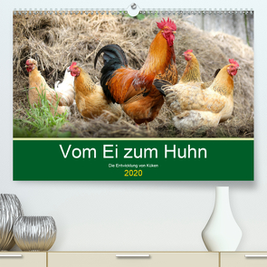 Vom Ei zum Huhn. Die Entwicklung von Küken (Premium, hochwertiger DIN A2 Wandkalender 2020, Kunstdruck in Hochglanz) von Hurley,  Rose