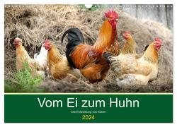 Vom Ei zum Huhn. Die Entwicklung von Küken (Wandkalender 2024 DIN A3 quer), CALVENDO Monatskalender von Hurley,  Rose