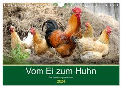 Vom Ei zum Huhn. Die Entwicklung von Küken (Wandkalender 2024 DIN A4 quer), CALVENDO Monatskalender von Hurley,  Rose
