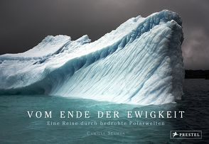 Vom Ende der Ewigkeit von Sawin,  Elizabeth, Seaman,  Camille