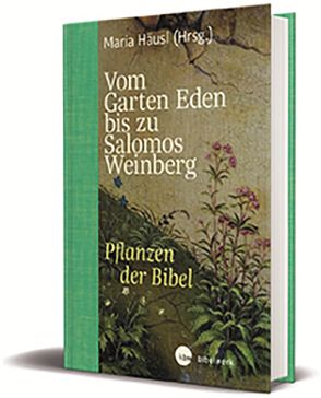 Vom Garten Eden bis zu Salomos Weinberg von Häusl,  Maria
