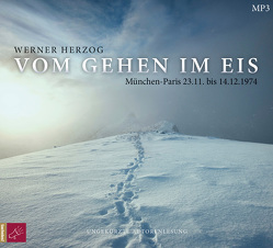 Vom Gehen im Eis von Herzog,  Werner