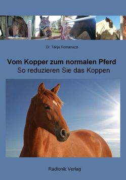 Vom Kopper zum normalen Pferd