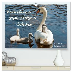 Vom Küken zum stolzen Schwan (hochwertiger Premium Wandkalender 2024 DIN A2 quer), Kunstdruck in Hochglanz von T. Frank,  Roland