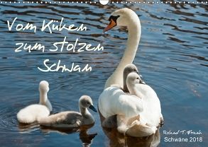 Vom Küken zum stolzen Schwan (Wandkalender 2018 DIN A3 quer) von T. Frank,  Roland