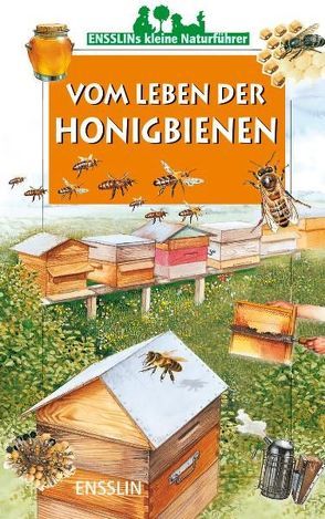 Vom Leben der Honigbienen von Benoit,  Charles, Müller,  Sabine, Rogez,  Léon