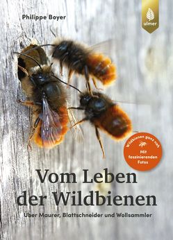 Vom Leben der Wildbienen von Boyer,  Philippe