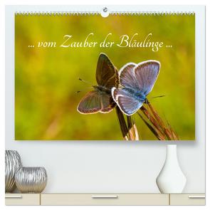 … vom Zauber der Bläulinge … (hochwertiger Premium Wandkalender 2024 DIN A2 quer), Kunstdruck in Hochglanz von Kron (la Frippi),  Frances