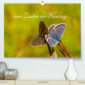 … vom Zauber der Bläulinge … (Premium, hochwertiger DIN A2 Wandkalender 2023, Kunstdruck in Hochglanz) von Kron (la Frippi),  Frances