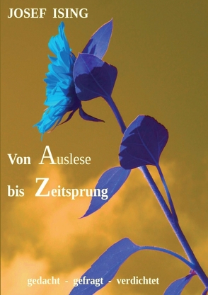 von Auslese bis Zeitsprung von Ising,  Josef