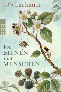 Von Bienen und Menschen von Lachauer,  Ulla
