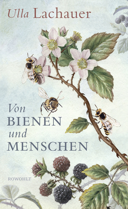 Von Bienen und Menschen von Lachauer,  Ulla