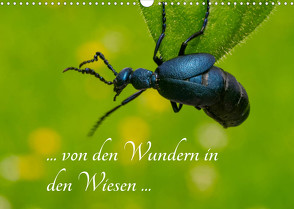 … von den Wundern in den Wiesen … (Wandkalender 2023 DIN A3 quer) von Kron (la Frippi),  Frances