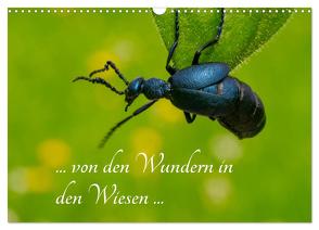 … von den Wundern in den Wiesen … (Wandkalender 2024 DIN A3 quer), CALVENDO Monatskalender von Kron (la Frippi),  Frances