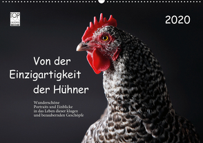 Von der Einzigartigkeit der Hühner 2020 (Wandkalender 2020 DIN A2 quer) von Peters,  Birte