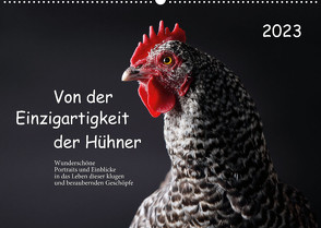 Von der Einzigartigkeit der Hühner 2023 (Wandkalender 2023 DIN A2 quer) von Peters,  Birte