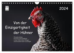 Von der Einzigartigkeit der Hühner 2024 (Wandkalender 2024 DIN A4 quer), CALVENDO Monatskalender von Peters,  Birte