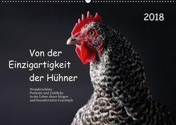 Von der Einzigartigkeit der Hühner (Wandkalender 2018 DIN A2 quer) von Peters,  Birte