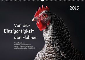 Von der Einzigartigkeit der Hühner (Wandkalender 2019 DIN A2 quer) von Peters,  Birte