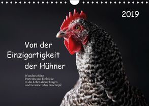 Von der Einzigartigkeit der Hühner (Wandkalender 2019 DIN A4 quer) von Peters,  Birte