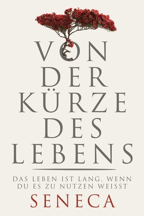 Von der Kürze des Lebens von Brömer,  Kerstin, Seneca,  Lucius Annaeus