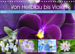 Von Hellblau bis Violett Blütenpracht (Wandkalender 2022 DIN A4 quer) von Kruse,  Gisela