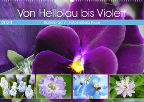 Von Hellblau bis Violett Blütenpracht (Wandkalender 2023 DIN A2 quer) von Kruse,  Gisela