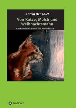 Von Katze, Molch und Weihnachtsmann von Benedict,  Katrin, Pietzsch,  Romy