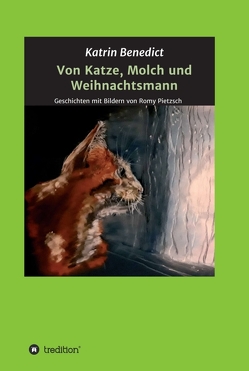 Von Katze, Molch und Weihnachtsmann von Benedict,  Katrin, Pietzsch,  Romy