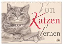 Von Katzen lernen (Wandkalender 2024 DIN A3 quer), CALVENDO Monatskalender von Kunst & Design,  Dany's