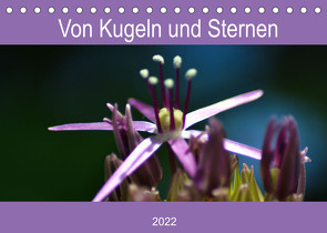 Von Kugeln und Sternen (Tischkalender 2022 DIN A5 quer) von Kull,  Isabell