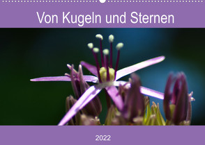 Von Kugeln und Sternen (Wandkalender 2022 DIN A2 quer) von Kull,  Isabell