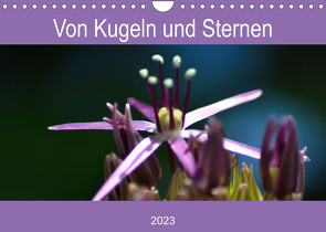 Von Kugeln und Sternen (Wandkalender 2023 DIN A4 quer) von Kull,  Isabell