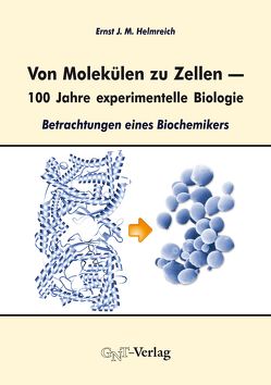 Von Molekülen zu Zellen – 100 Jahre experimentelle Biologie von Helmreich,  Ernst J. M.