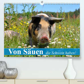 Von Säuen die Schwein haben! (Premium, hochwertiger DIN A2 Wandkalender 2022, Kunstdruck in Hochglanz) von Stanzer,  Elisabeth