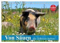 Von Säuen die Schwein haben! (Tischkalender 2024 DIN A5 quer), CALVENDO Monatskalender von Stanzer,  Elisabeth