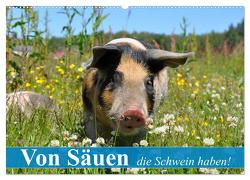 Von Säuen die Schwein haben! (Wandkalender 2024 DIN A2 quer), CALVENDO Monatskalender von Stanzer,  Elisabeth