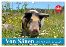 Von Säuen die Schwein haben! (Wandkalender 2024 DIN A3 quer), CALVENDO Monatskalender von Stanzer,  Elisabeth