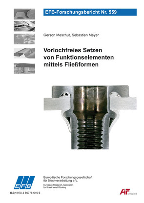 Vorlochfreies Setzen von Funktionselementen mittels Fließformen von Meschut,  Gerson, Meyer,  Sebastian