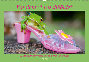 Vorsicht: Froschkönig (Wandkalender 2020 DIN A2 quer) von Travelpixx.com