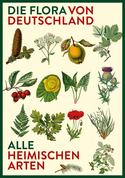 Vorzugsausgabe: Die Flora von Deutschland. Alle heimischen Arten von Tackenberg,  Dr. Oliver