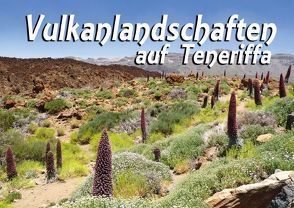 Vulkanlandschaften auf Teneriffa (Posterbuch DIN A4 quer) von Reiter,  Monika