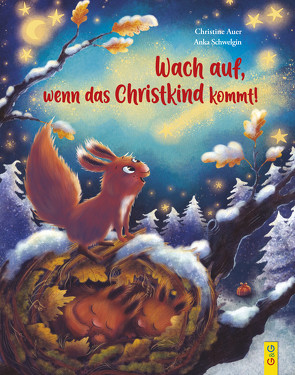 Wach auf, wenn das Christkind kommt! von Auer,  Christine, Schwelgin,  Anka