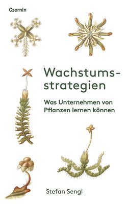 Wachstumsstrategien von Sengl,  Stefan