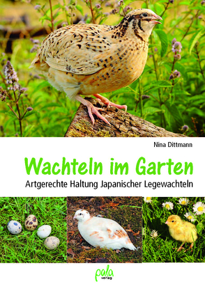 Wachteln im Garten von Dittmann,  Bastian, Dittmann,  Detlef, Dittmann,  Nina