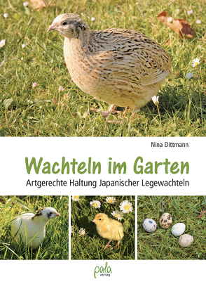 Wachteln im Garten von Dittmann,  Bastian, Dittmann,  Detlef, Dittmann,  Nina, Wenzel,  Thorben