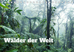 Wälder der Welt (Tischkalender 2023 DIN A5 quer) von Colombo,  Matteo