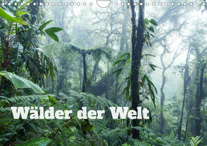 Wälder der Welt (Wandkalender 2023 DIN A4 quer) von Colombo,  Matteo